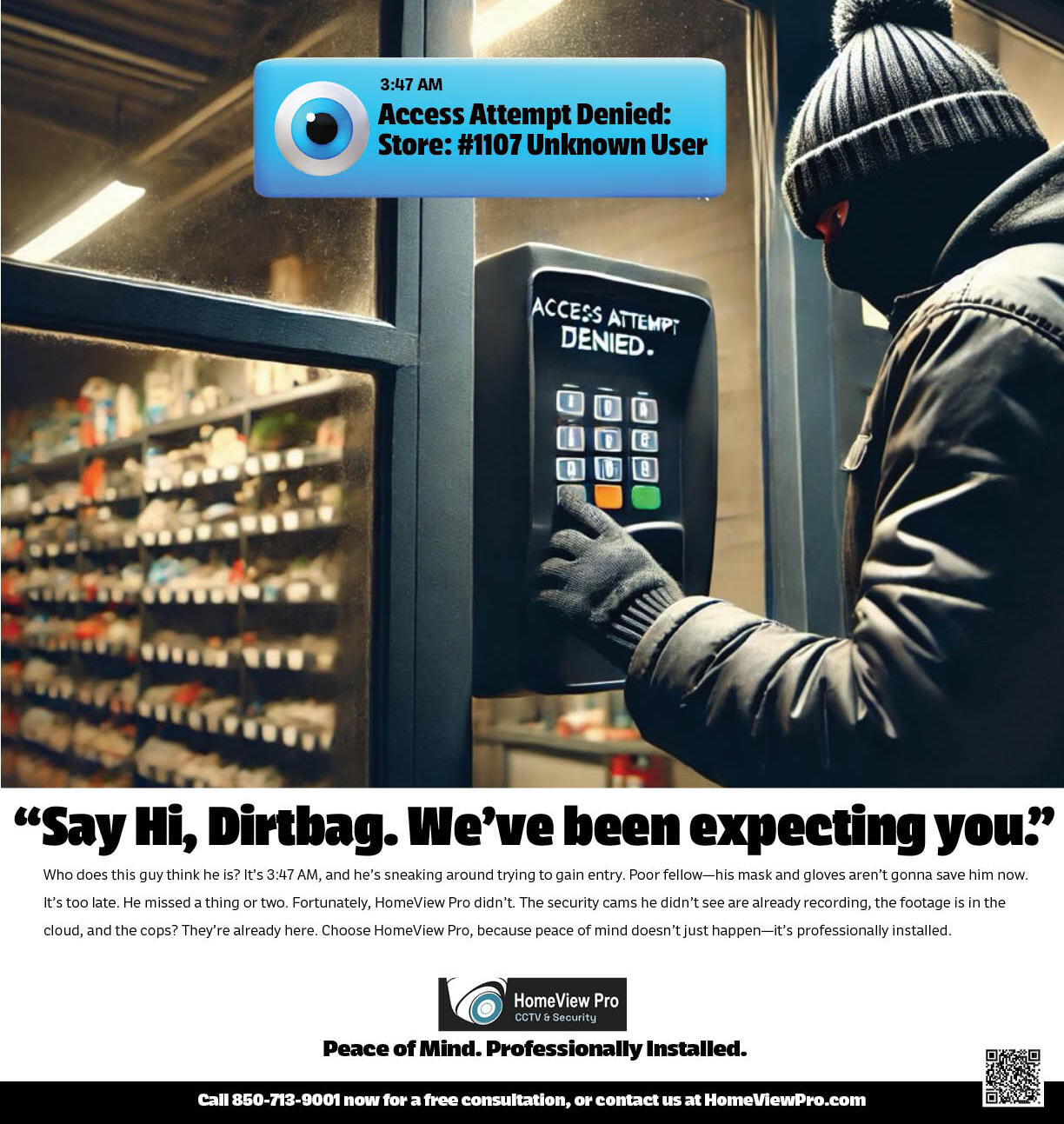 HomeView Security Dirtbag