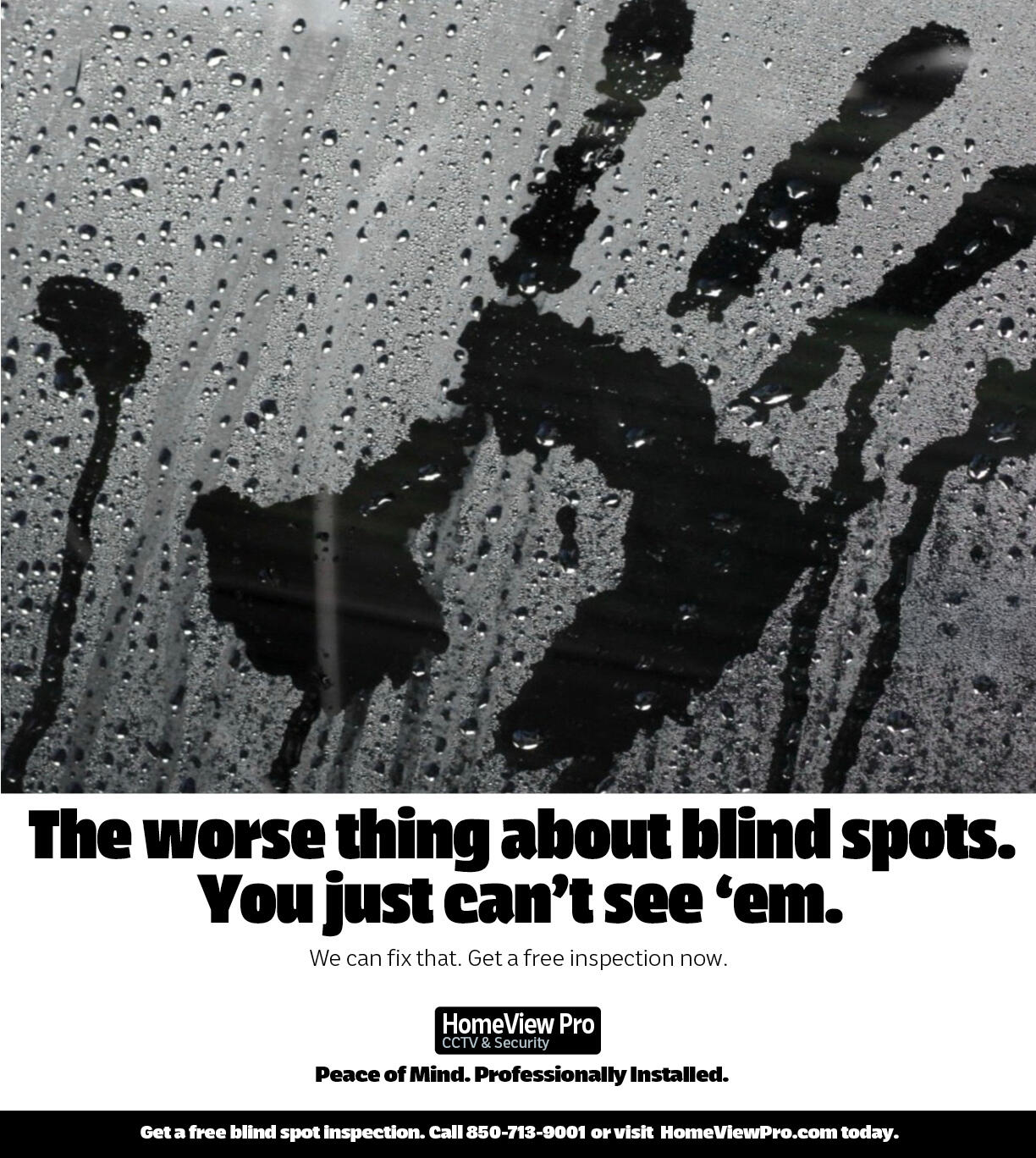 HomeView Security Blind Spots