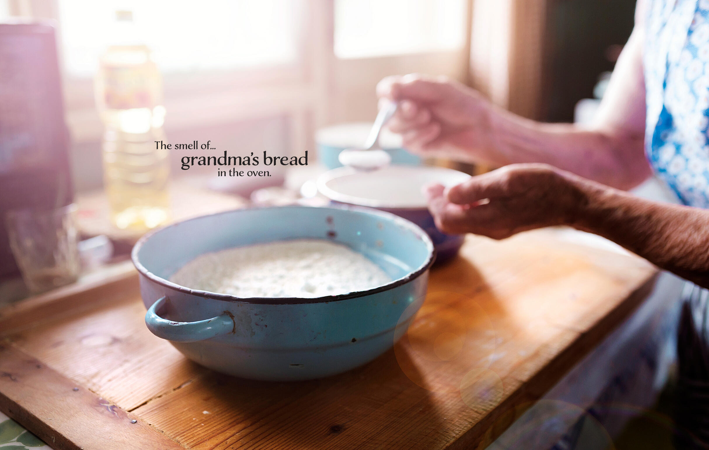 LSF 2012 Annual Report Inside